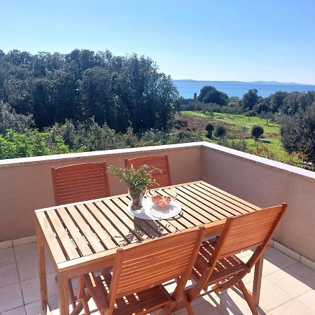Apartments Peric Zadar Luaran gambar